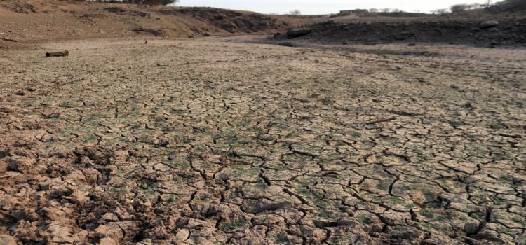 Sinaloa también esta afectado por la sequía