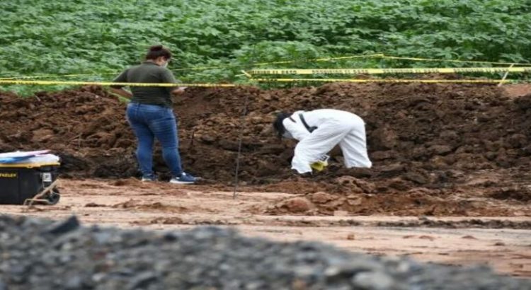 Encuentran una osamenta