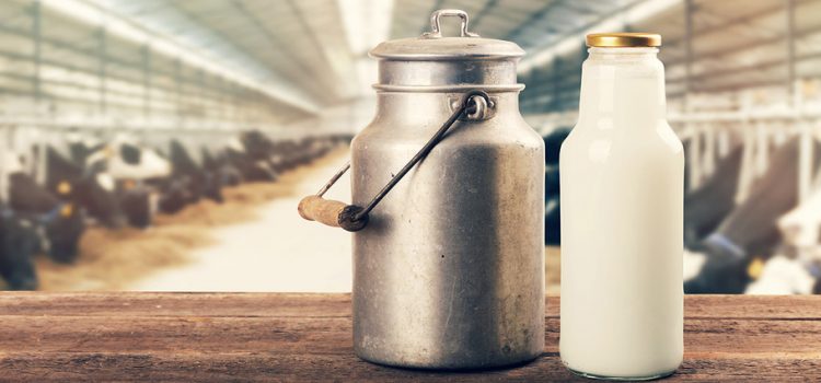 Empresas pasteurizadoras podrían pagar más por la leche