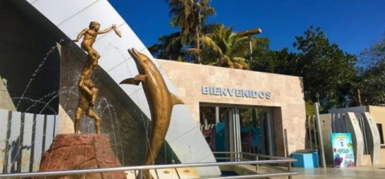 14 trabajadores del Acuario Mazatlán ya fueron reubicados