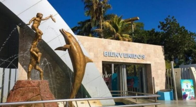 14 trabajadores del Acuario Mazatlán ya fueron reubicados