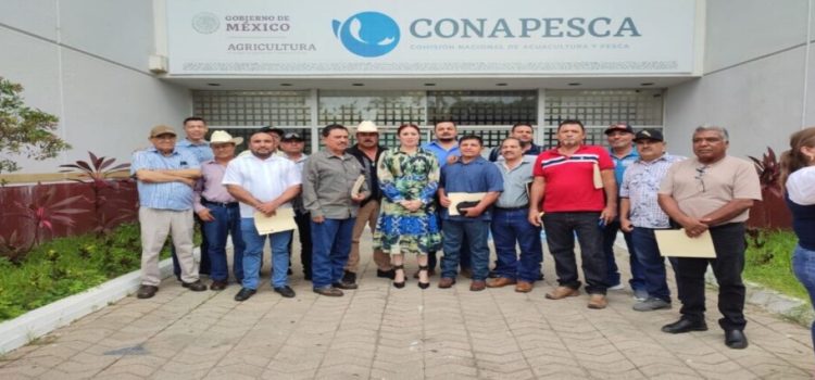 Buscan regionalizar la pesca de camarón en Sinaloa