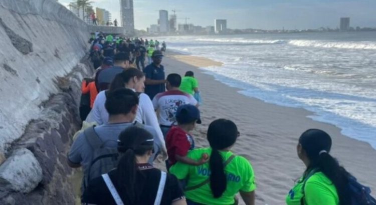 300 voluntarios limpiaron 2.5 kilómetros de playa