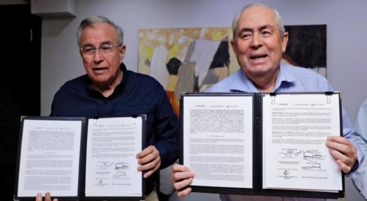 Sinaloa y Segalmex firmaron convenio para comprar maíz blanco