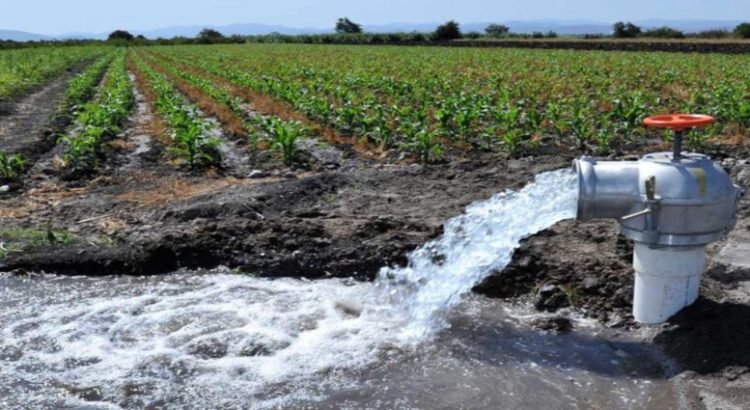 CONAGUA aprueba designar 3 mil 629 mm³ de agua para riego agrícola en el estado