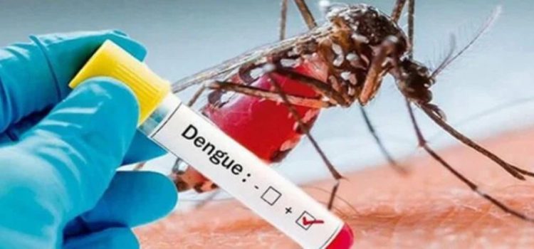 Mazatlán registra el 50% de los casos de dengue de la entidad