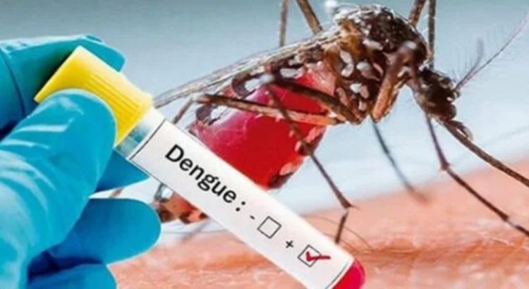 Mazatlán registra el 50% de los casos de dengue de la entidad