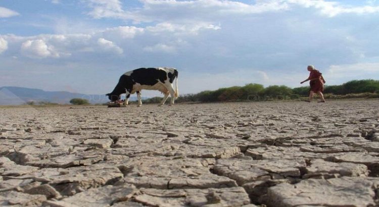 La sequía tendrá un impacto económico en Sinaloa de 15 mil mdp