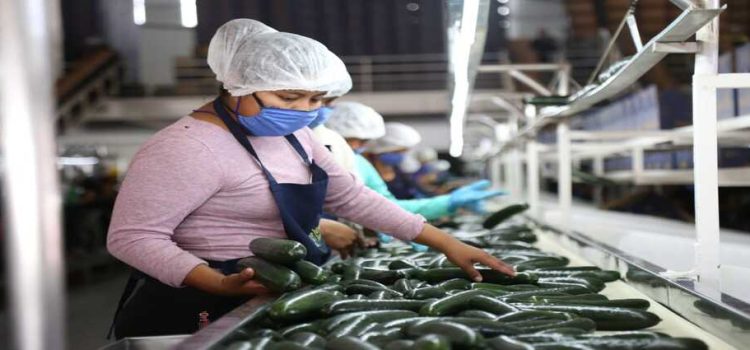 Sinaloa lidera el crecimiento laboral en México durante febrero