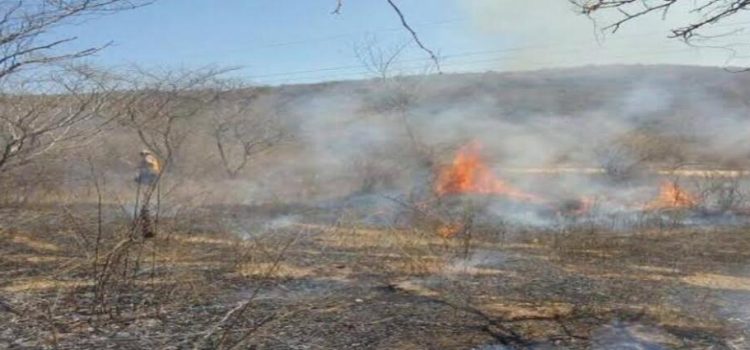 En Sinaloa hay registro de 8 incendios forestales activos