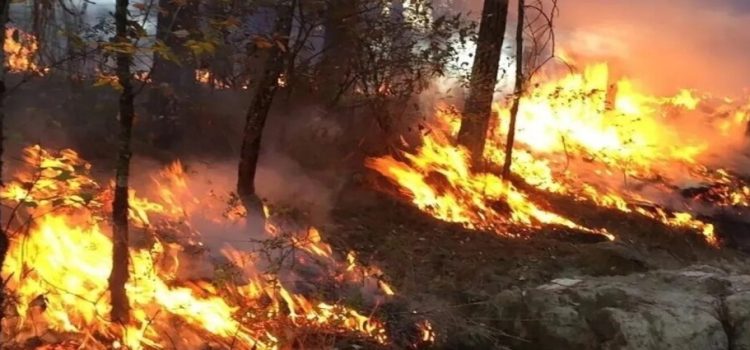 En lo que va de la temporada Sinaloa registra 32 incendios forestales