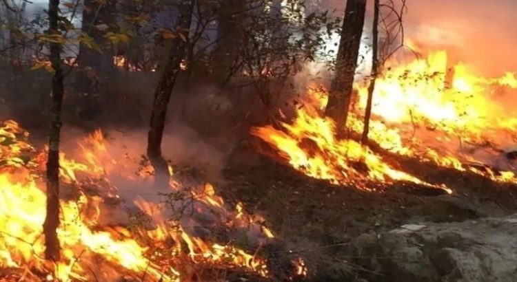 En lo que va de la temporada Sinaloa registra 32 incendios forestales