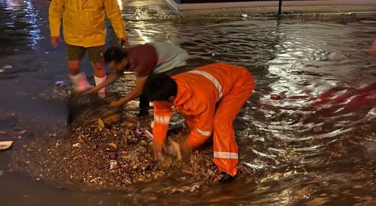 Alcalde de Mazatlán pide a ciudadanos no tirar basura a canales y grasas al drenaje