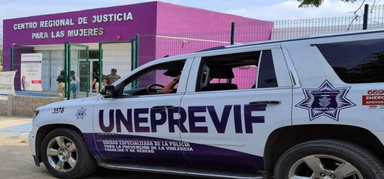 El 80% de las denuncias de violencia contra las mujeres se concentran en 5 municipios