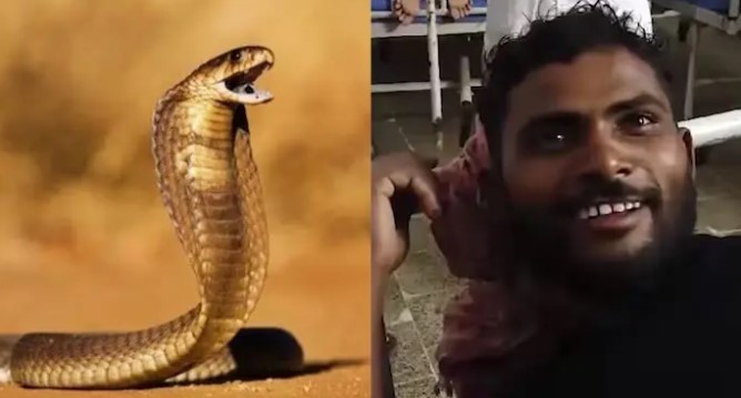 Un hombre en India responde a mordida de serpiente… ¡mordiéndola de vuelta!