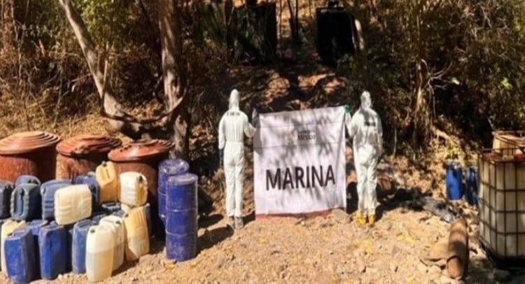 Fuerzas federales desmantelan 7 narcolaboratorios en Sinaloa