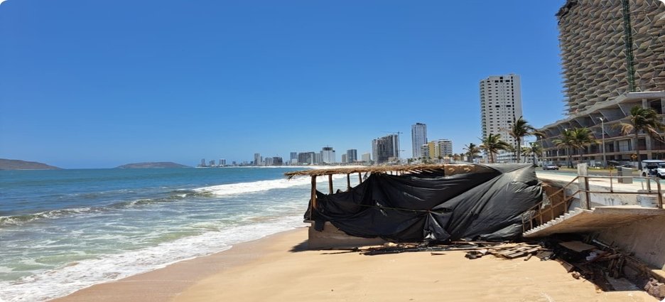 Profepa retirará dos palapas clausuradas en la zona de playa de Avenida del Mar
