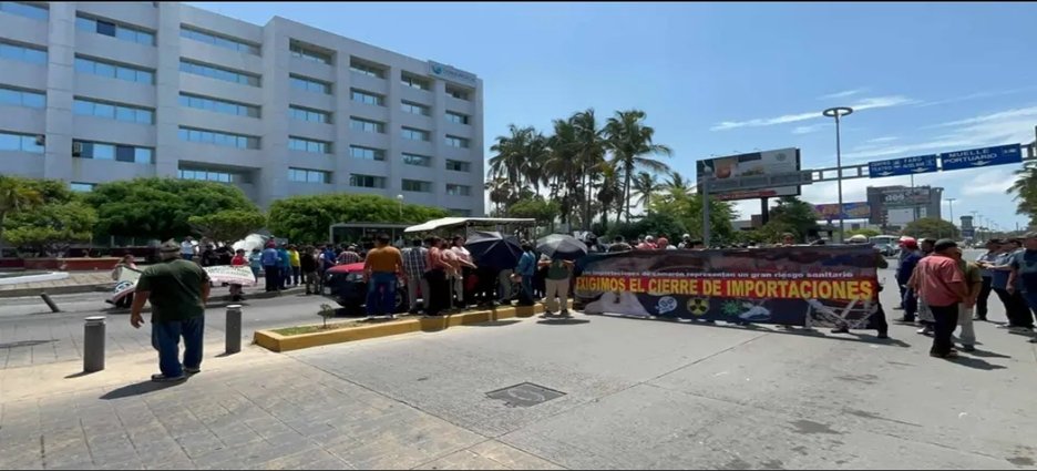 Acuacultores toman oficinas de Conapesca en Mazatlán para exigir freno a importaciones de camarón